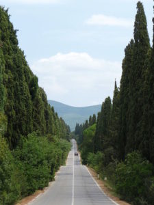 Viale dei Cipressi Bolgheri Castagneto Carducci © CC BY-SA 3.0 Lucarelli WC