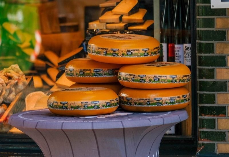 Il formaggio Gouda
